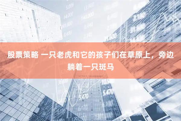 股票策略 一只老虎和它的孩子们在草原上，旁边躺着一只斑马