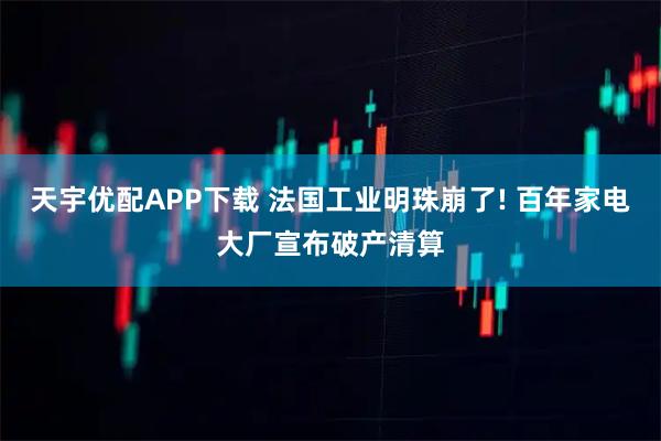 天宇优配APP下载 法国工业明珠崩了! 百年家电大厂宣布破产清算