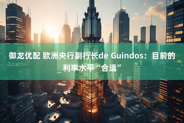 御龙优配 欧洲央行副行长de Guindos：目前的利率水平“合适”