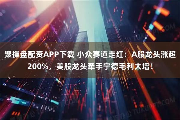 聚操盘配资APP下载 小众赛道走红：A股龙头涨超200%，美股龙头牵手宁德毛利大增！