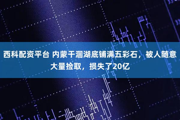 西科配资平台 内蒙干涸湖底铺满五彩石，被人随意大量捡取，损失了20亿