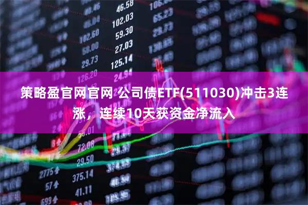 策略盈官网官网 公司债ETF(511030)冲击3连涨，连续10天获资金净流入