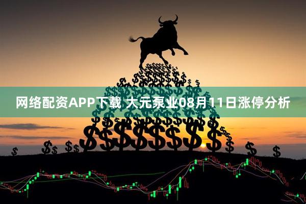 网络配资APP下载 大元泵业08月11日涨停分析